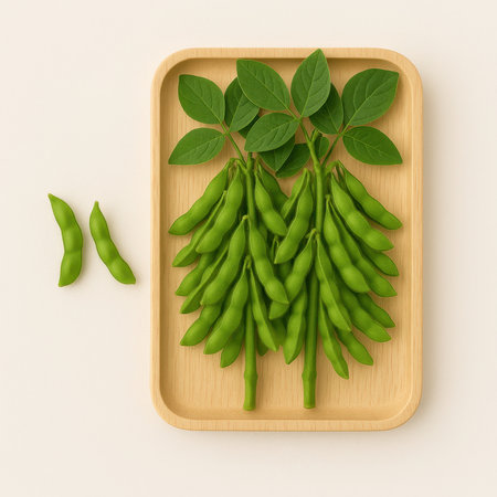 Top view fresh harvested soybean edamame plants neatly arranged on light wooden tray on white background healthy legume crop for farm produce and asian cuisineの素材