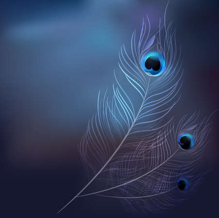 vector peacock on blur background.vector illustrationのイラスト素材