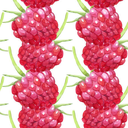 Pattern of raspberry painted watercolor. Fruit pattern for menu and desserts, restaurants and cafes.のイラスト素材
