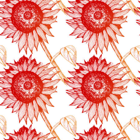Hand drawn sunflowers. Sketch of a flower with a stem and leaves. For advertising, design, packaging. The pattern with sunflowers.のイラスト素材