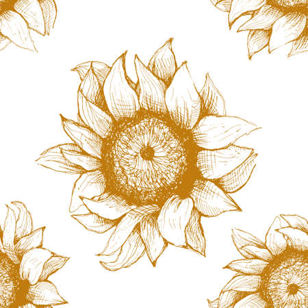 Hand drawn pattern of sunflowers. Flower sunflower with heart and rose. Pattern for packaging, advertising, and oil products from sunflower.のイラスト素材