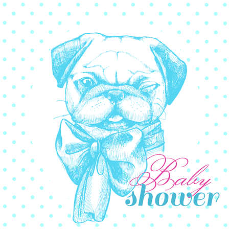 Illustration for birthday newborn boy. Baby shower. Cute Pug in blue. Cards, cards, posters and invitations.のイラスト素材