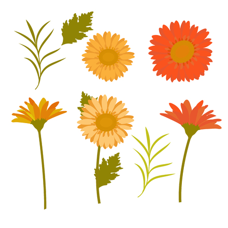 A set of gerbera flowers, red, yellow and green leaf on a white isolated background. Template for decoration of postcards, albums, posters. Vector illustration.のイラスト素材