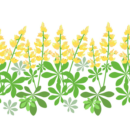 Seamless pattern with yellow lupine flowers isolated on white background, floral vector illustration.のイラスト素材