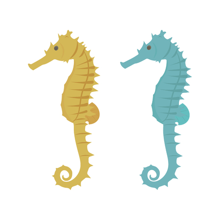 Seahorse, yellow and blue on white isolated background. Vector illustration. Template for the design of the album, postcard, applique.のイラスト素材