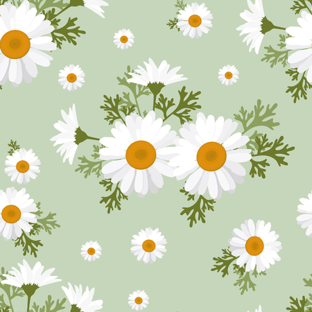 Seamless pattern with gentle camomile on a green background. For decorating textiles, packaging, web design.のイラスト素材