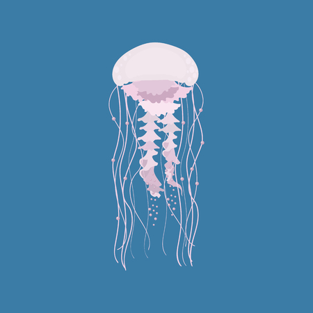 Vector illustration of a colorful jellyfish. Template for the design of logos, labels, emblems, web design.のイラスト素材