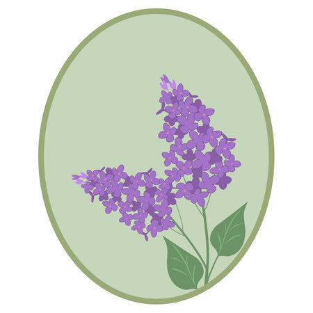 Vector illustration with a branch of lilac in the frame. Template for postcard, design cosmetics, medicine.のイラスト素材