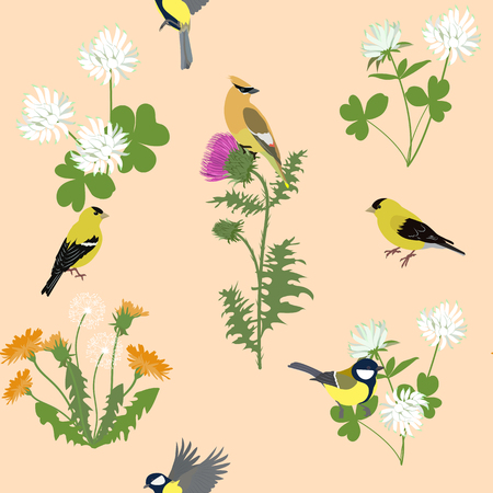 Seamless vector illustration with thistle, dandelion and birds on a beige background. For decorating textiles, packaging, web design.のイラスト素材