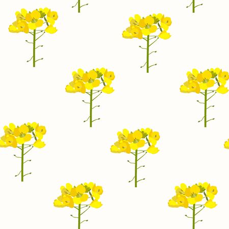 Seamless vector illustration with yellow milkweed flowers on a white background. For textile decoration, packaging, web design.のイラスト素材