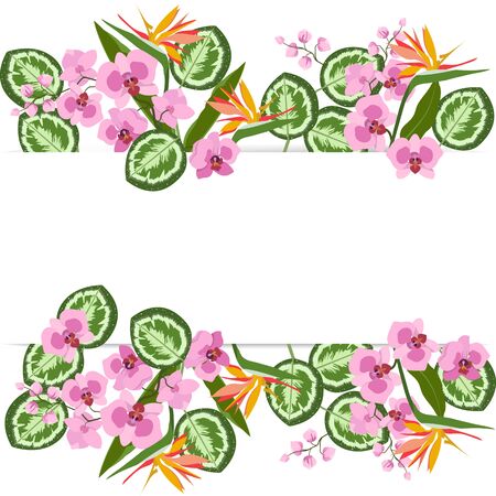 Delicate orchids and tropical leaves with a frame and place for your text on a white background. Wedding invitation,greeting card, flyer.のイラスト素材