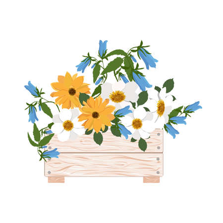 Bouquet garden of flowers in a wood box on a white isolated background.のイラスト素材