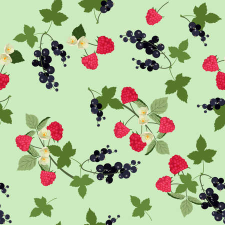 Vector black currantand and raspberry seamless pattern. Background design for tea, ice cream, natural cosmetics, candy and bakery with black currant filling, health care products.のイラスト素材