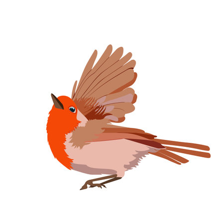 A vector illustration of a robin redbreast on a white isolated background. Template for greeting cards, web design, education.のイラスト素材