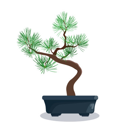 Bonsai green tree pine on a white isolated backgroundのイラスト素材