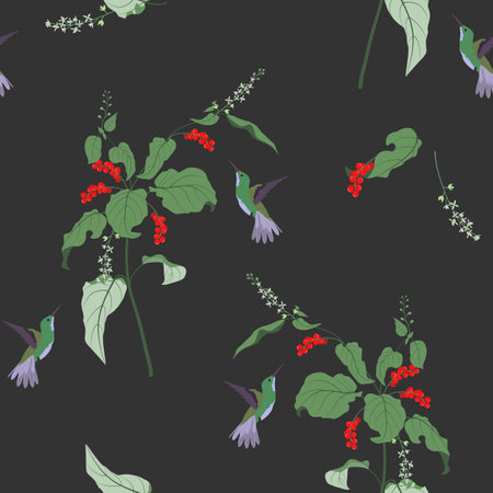 Seamless vector illustration with tropical rivina and hummingbirds on a black background. For decorating textiles, packaging, paper.のイラスト素材