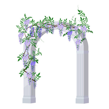 Blooming wisteria entwines an ancient Greek arch isolated on a white background. Vector illustration in realistic style.のイラスト素材