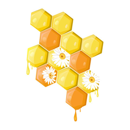Honeycomb with drops of honey and daisies. Stylization on an isolated background. Template for your design.のイラスト素材