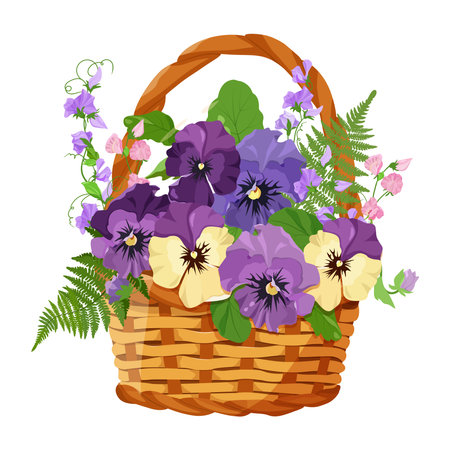 Delicate pansies and sweet peas in a wicker basket on an isolated background. Design element for wedding invitations, cards. Vintage Floral of Blooming violet. Vector Illustration.のイラスト素材