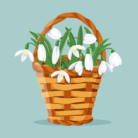 Delicate snowdrops in a wicker basket on an isolated background. Design element for wedding invitations, cards. Vintage Floral of Blooming violet. Vector Illustration.のイラスト素材