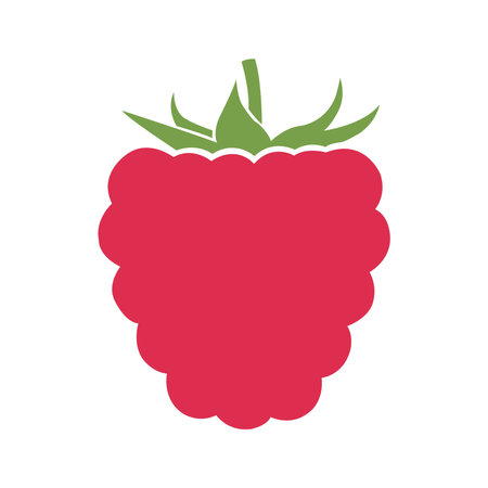 Raspberry flat icon isolated on white background for your web and mobile app design