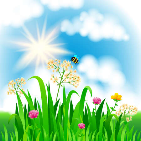 Bright nature landscape with sky, clouds, grass, flowers and bee. Rural landscape. Field and meadow. Vector illustration.のイラスト素材