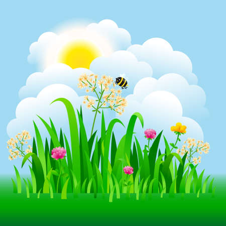 Bright nature landscape with sky, clouds, grass, flowers and bee. Rural landscape. Field and meadow. Vector illustrationのイラスト素材