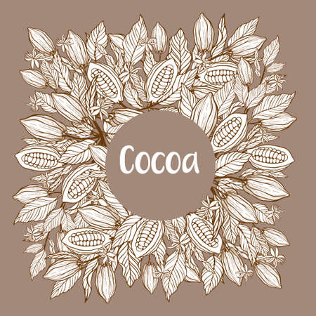 Cocoa beans illustration.Chocolate cocoa beans.のイラスト素材