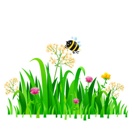Bright nature landscape with sky, clouds, grass, flowers and bee. Rural landscape. Field and meadow. Vector illustration.のイラスト素材