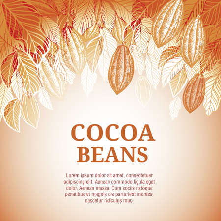 Cacao beans plant, Vector exotic cacao plants.のイラスト素材