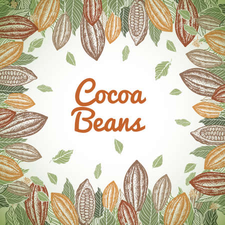 Cacao beans plant, Vector exotic cacao plants.のイラスト素材