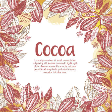 Cacao beans plant, Vector exotic cacao plantsのイラスト素材