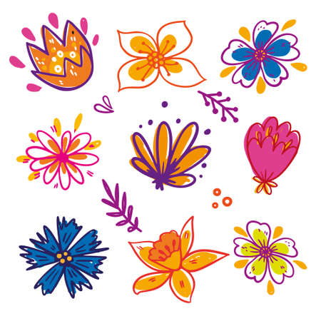 Flower graphic design. Vector set of floral elements with hand drawn flowers.のイラスト素材