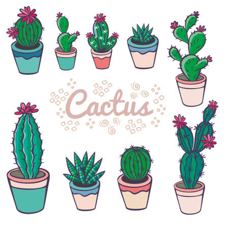 Set of colorful succulents and cactusesのイラスト素材