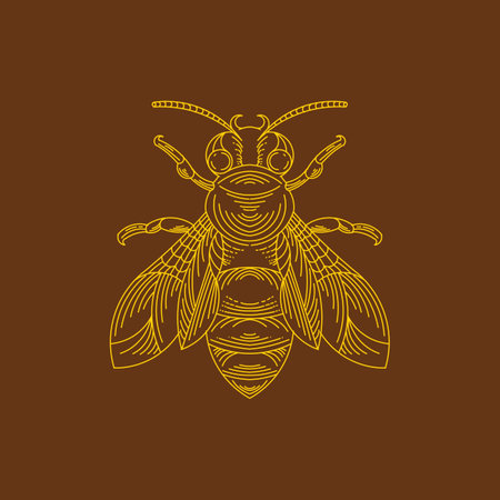 Luxury Bee monoline logo Design vector graphicのイラスト素材