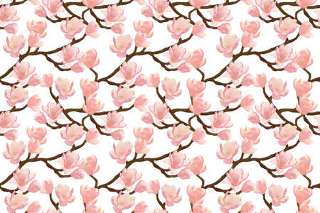 Seamless branch pattern with pink magnolia flowers on white backgroundの写真素材