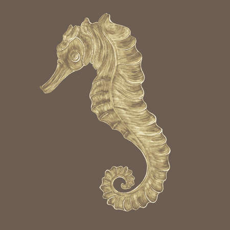 Seaorse, decorative illustration in gold color with hatching in shape on a dark backgroundhの写真素材