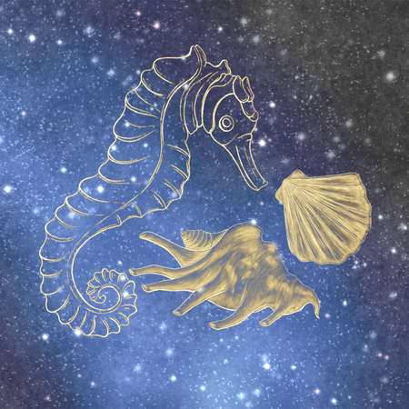 Compositions of contoured gold, illustration of a seahorse and a shell on the background of the cosmic sky.の写真素材