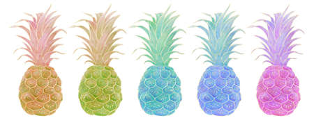 A set of bright, decorative illustrations of pineapple in different colors with a golden outlineの写真素材