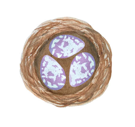 Cute watercolor illustration, a nest with purple testicles, for the Easter holidayの写真素材