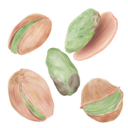 A set of watercolor illustrations, nuts, pistachios isolated on a white backgroundの写真素材