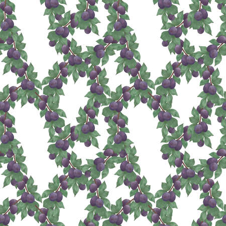 Plum branch pattern, watercolor illustration purple plum, seamless patternの写真素材