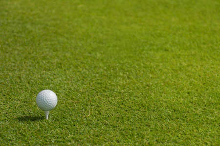 Golf ball on the greenの写真素材