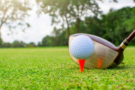 Golf on tee.の写真素材