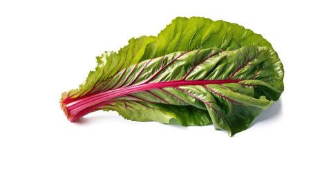 Freshly harvested fruits and vegetables with beautiful and fresh colors. Healthy organic cropsの写真素材