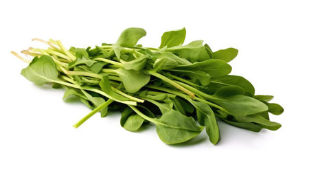 Freshly harvested fruits and vegetables with beautiful and fresh colors. Healthy organic cropsの写真素材