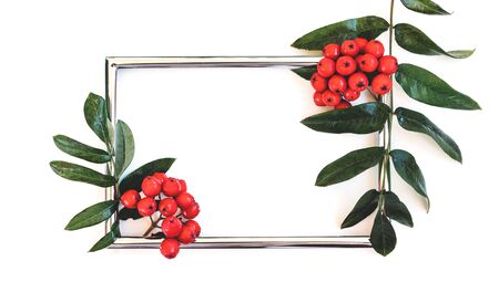 Rectangular frame decorated with rowan branches on a white background.の写真素材