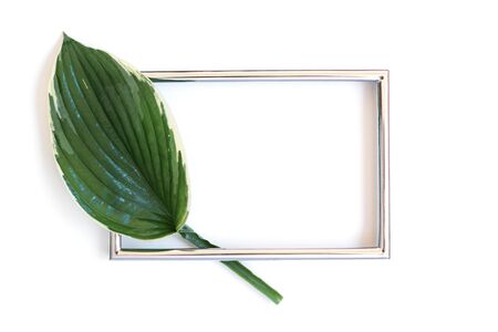 Creative layout made of tropical leave with metal card note on the white background. Flat lay. Nature conceptの写真素材