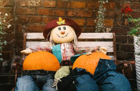 A rag scarecrow and two pumpkins in jeans are sitting on a bench. Harvest festival, a symbol of...