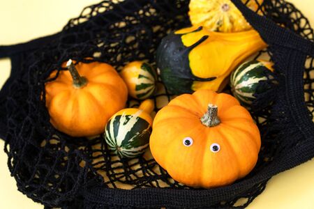 A small decorative pumpkins of a fancy shape in a black color string shopping bag for a supermarket....